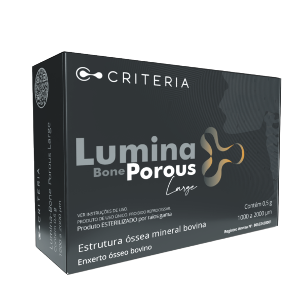 LUMINA-BONE POROUS LARGE