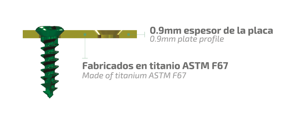 Característica del Sistema Maxibucco 2.0