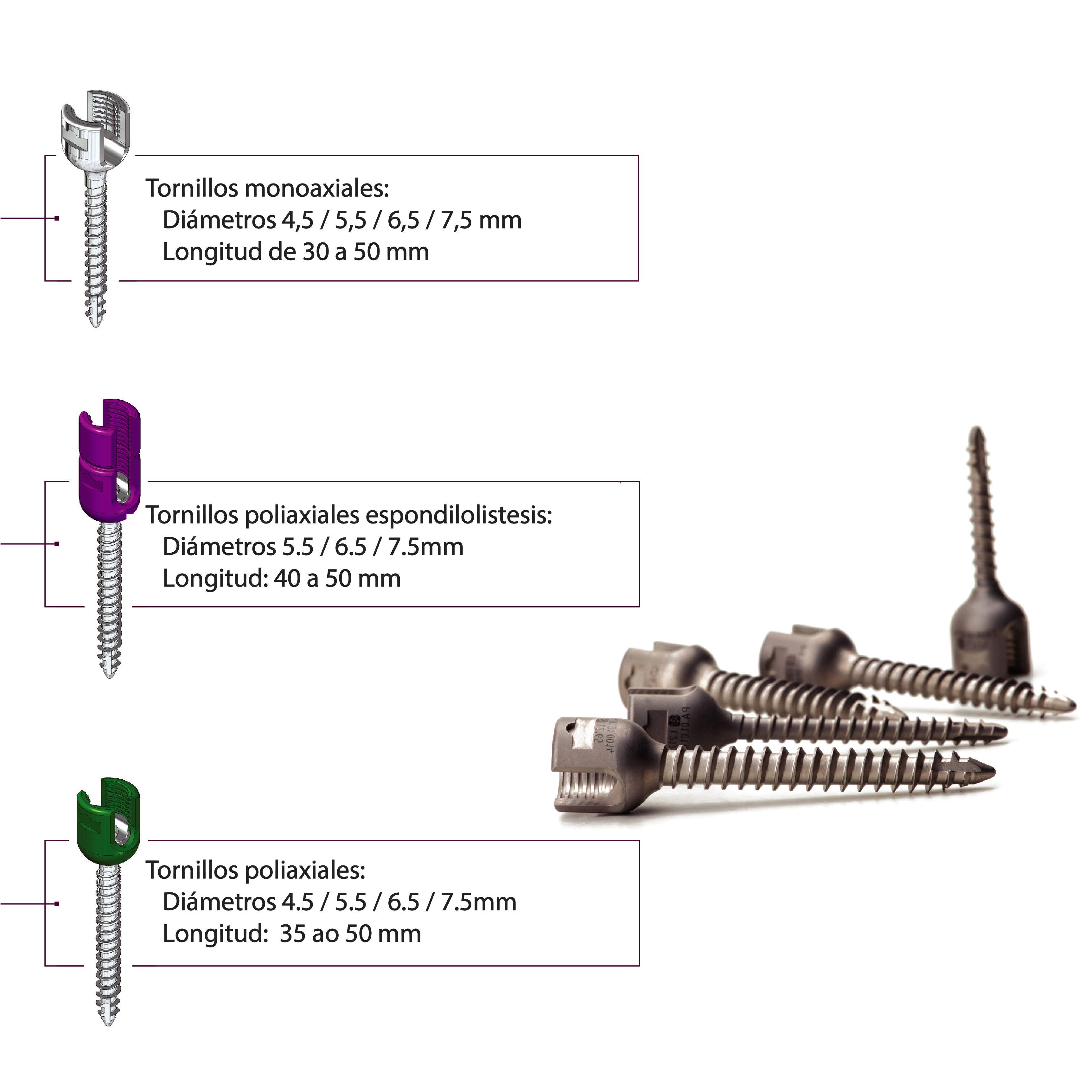 SISTEMA RIGID SPINE PLUS