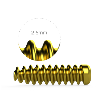 TORNILLO INTERFERENCIA TI