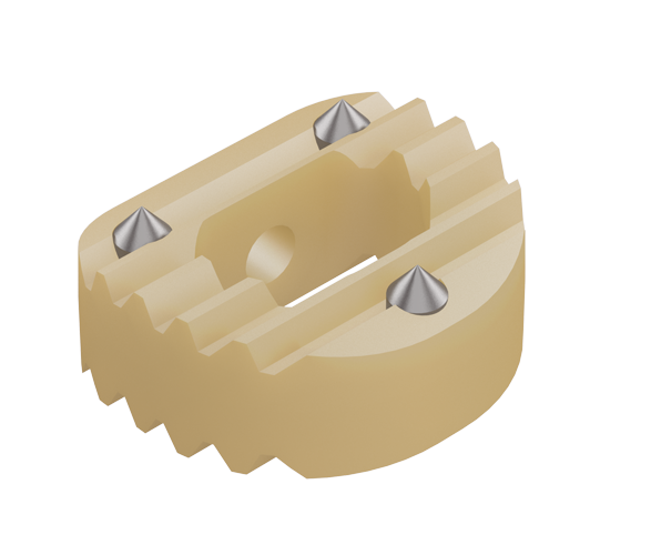 Dispositivo Intersomatico Cervical DICOM PEEK