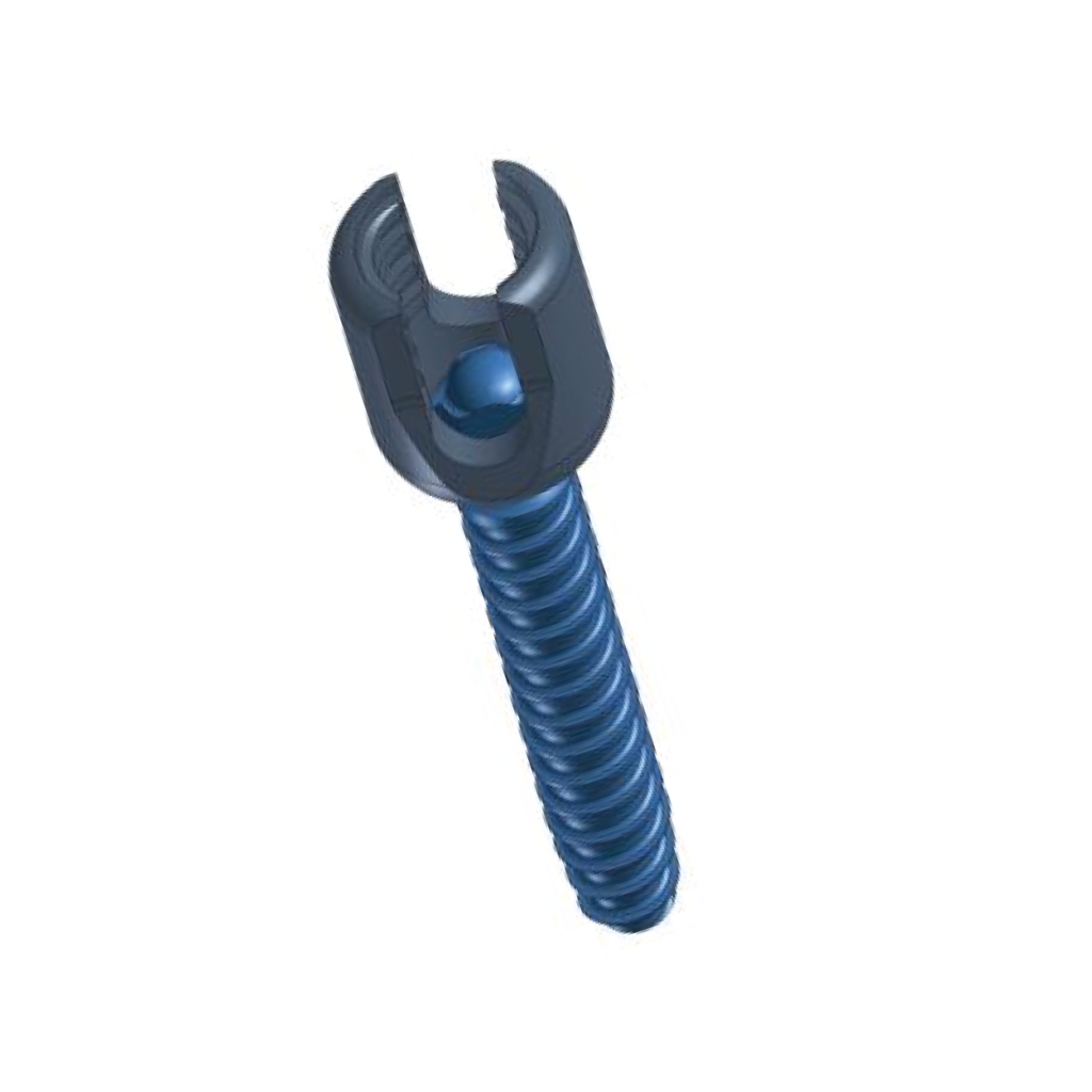 IMPLANTES TORNILLO MASSA LATERAL